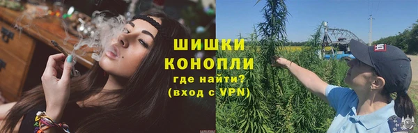 трава Абаза