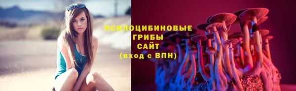 трава Абаза