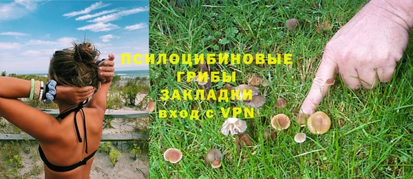 трава Абаза