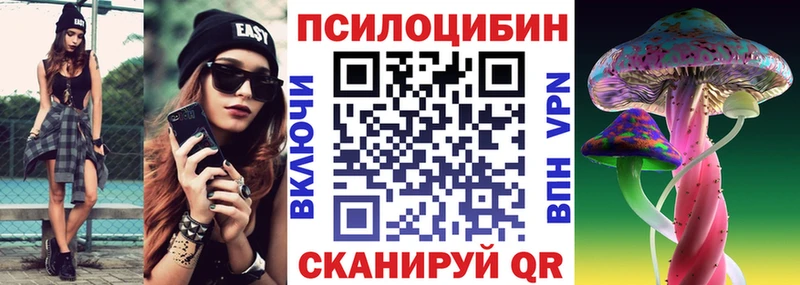 shop какой сайт  Полярный  Псилоцибиновые грибы Psilocybe  продажа наркотиков 
